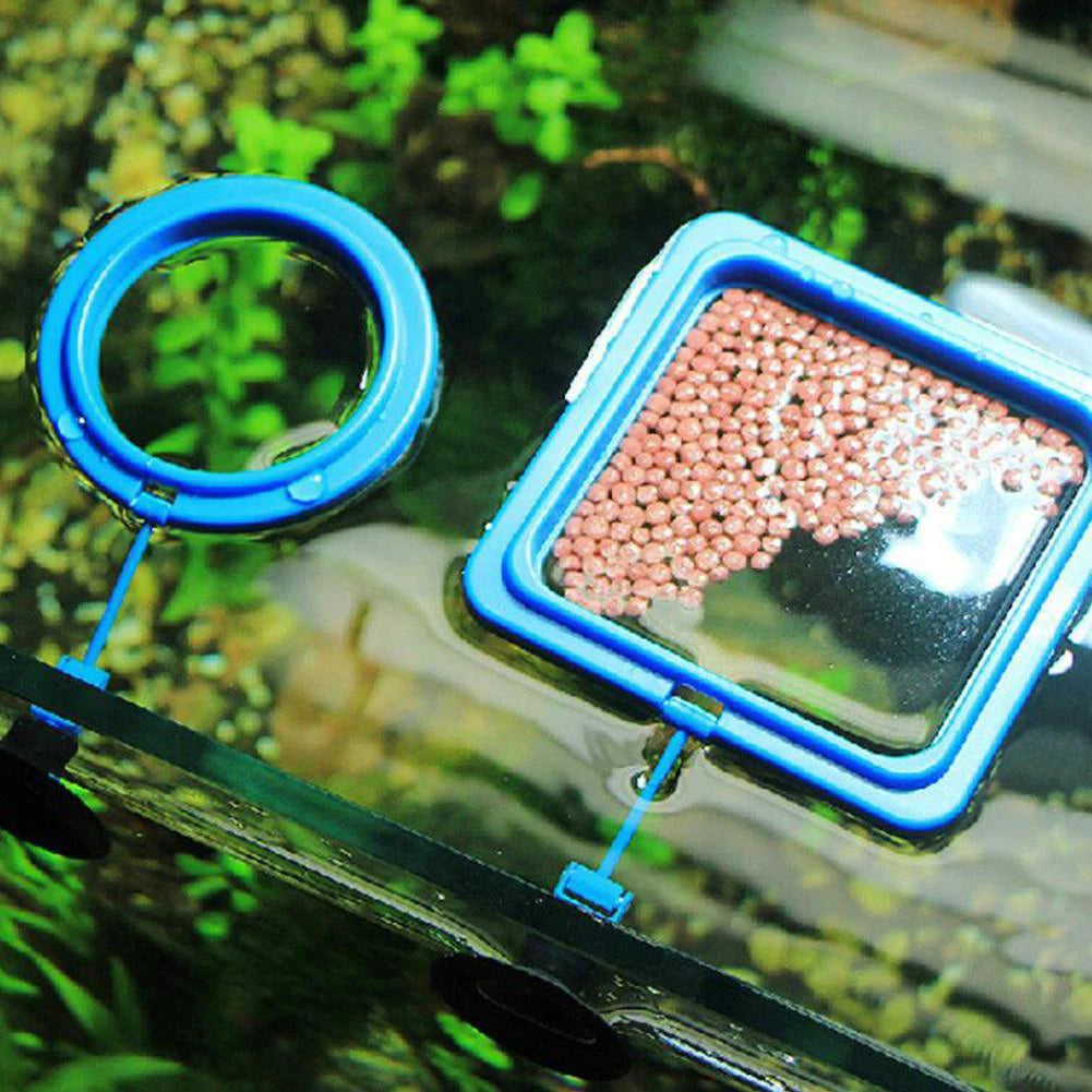 Fish Food Feeding Ring